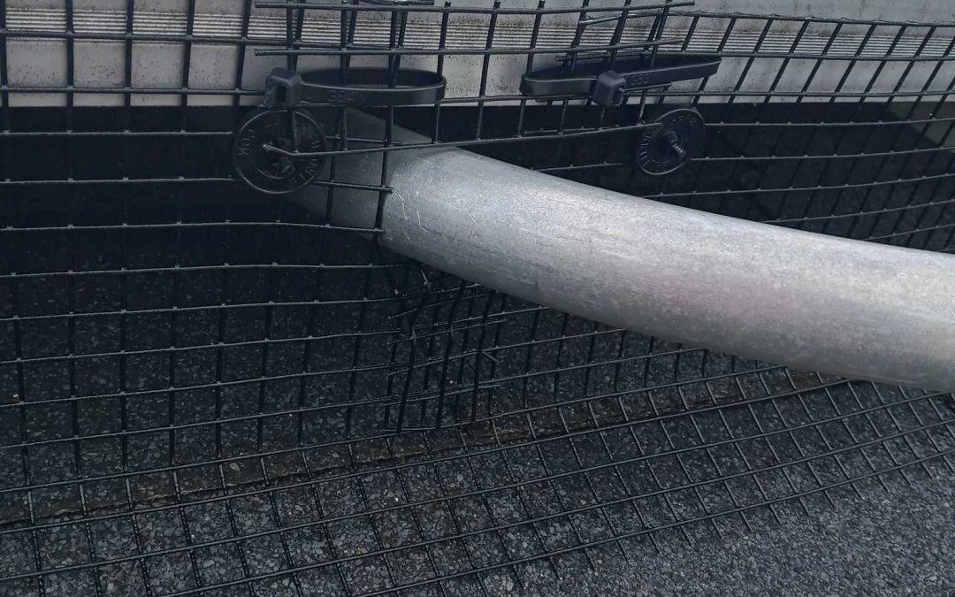 Bird netting and exclusion planning for NYC buildings