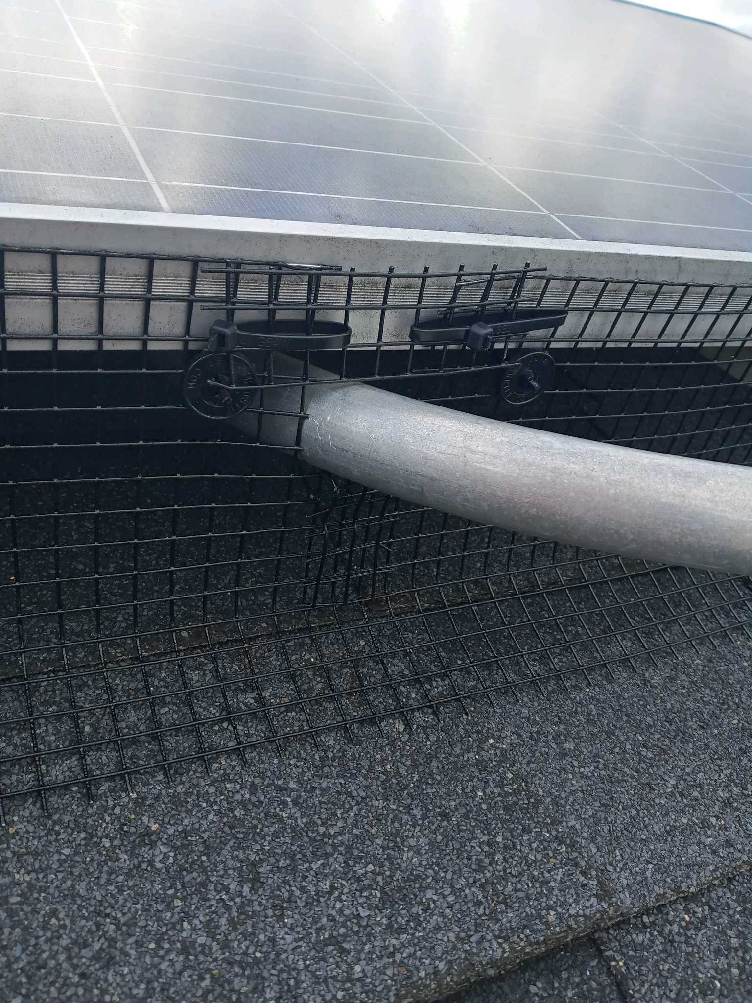 Before placeholder showing an untreated ledge before bird spike installation