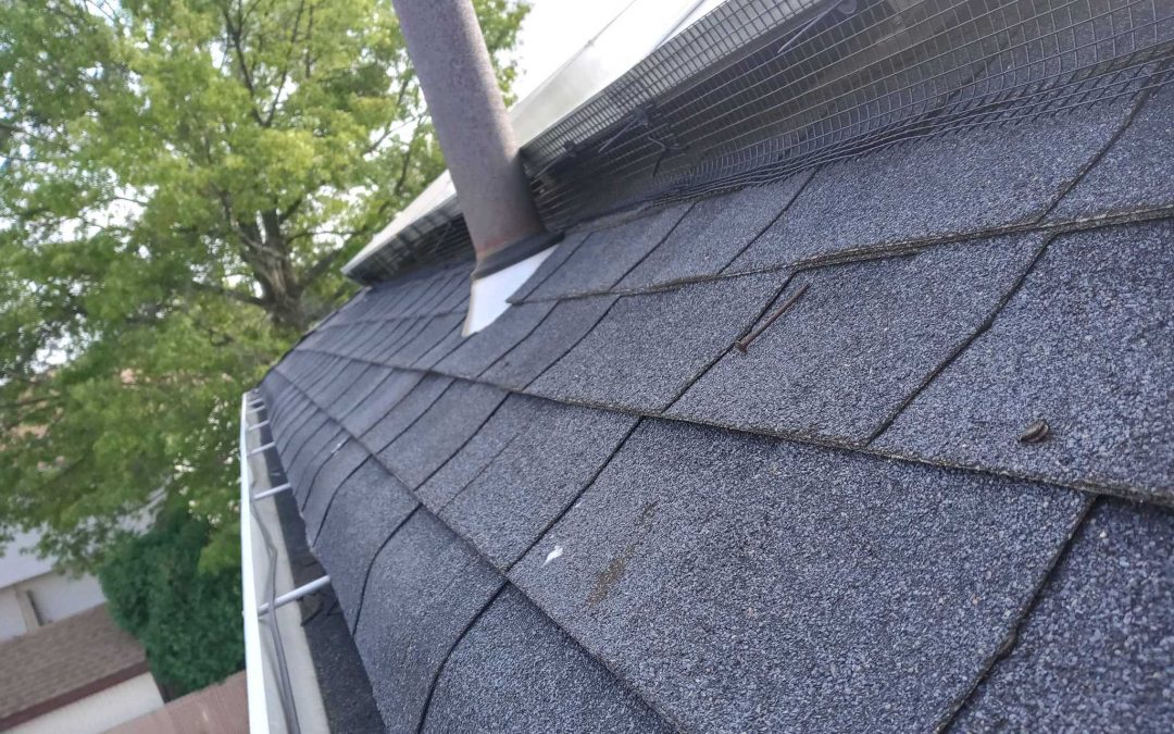 Bird deterrent planning for ledges and exterior building surfaces