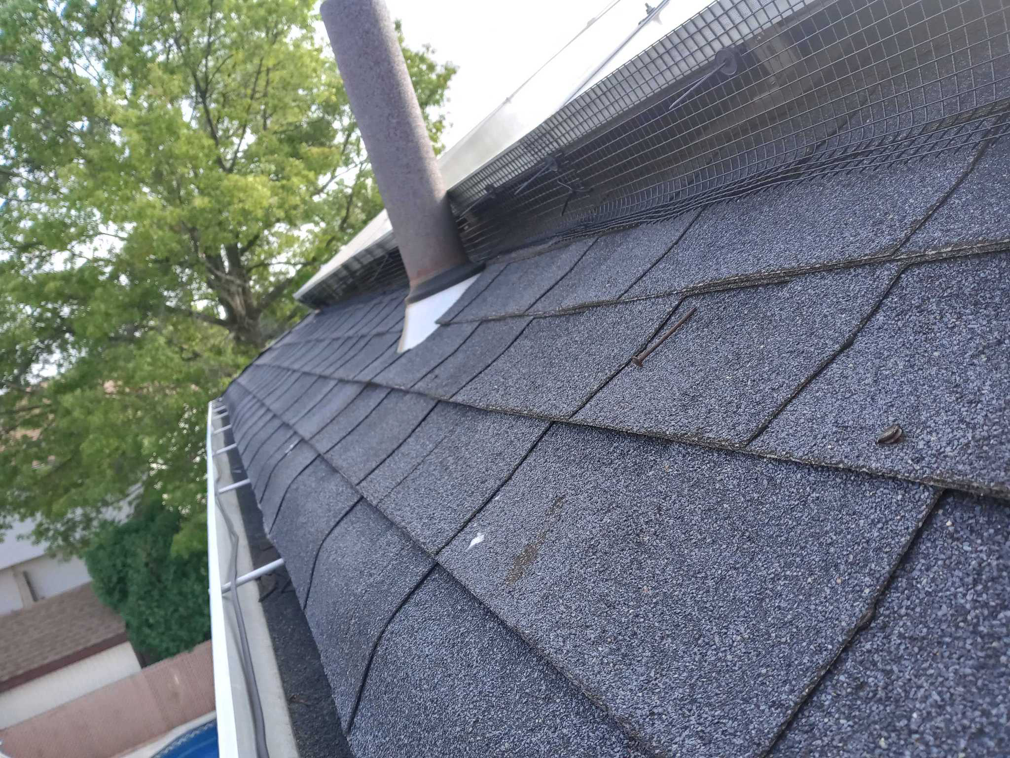 After placeholder showing a bird control area after humane pigeon deterrents are installed