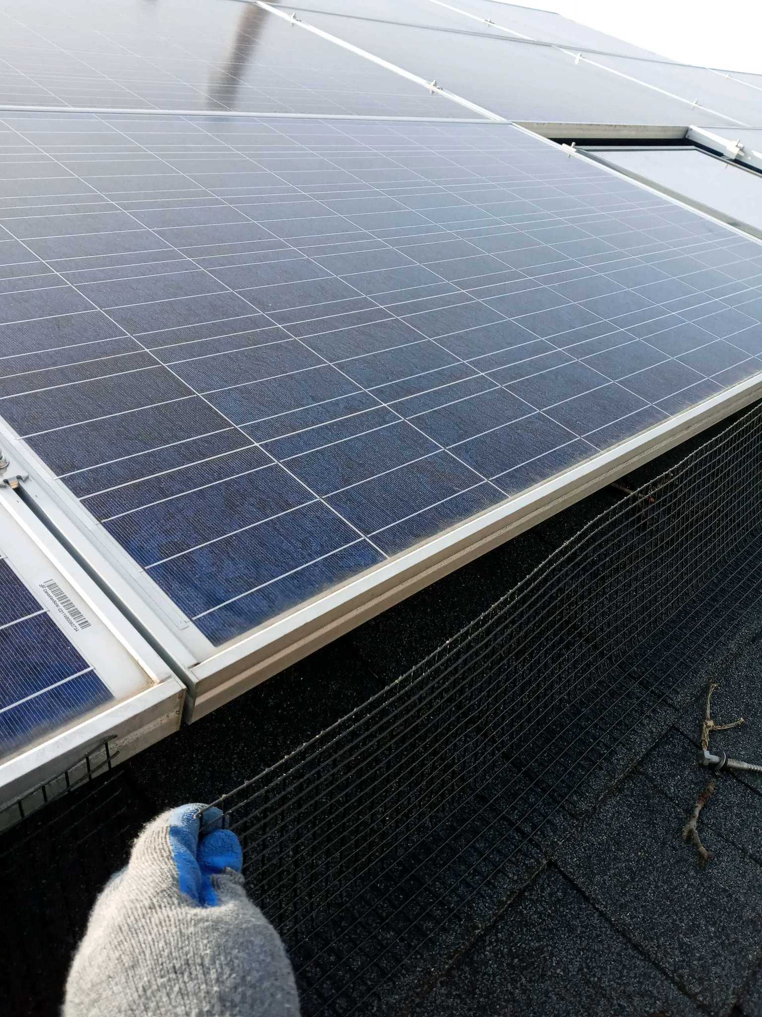 Before placeholder showing a bird control problem area prior to pigeon deterrent work