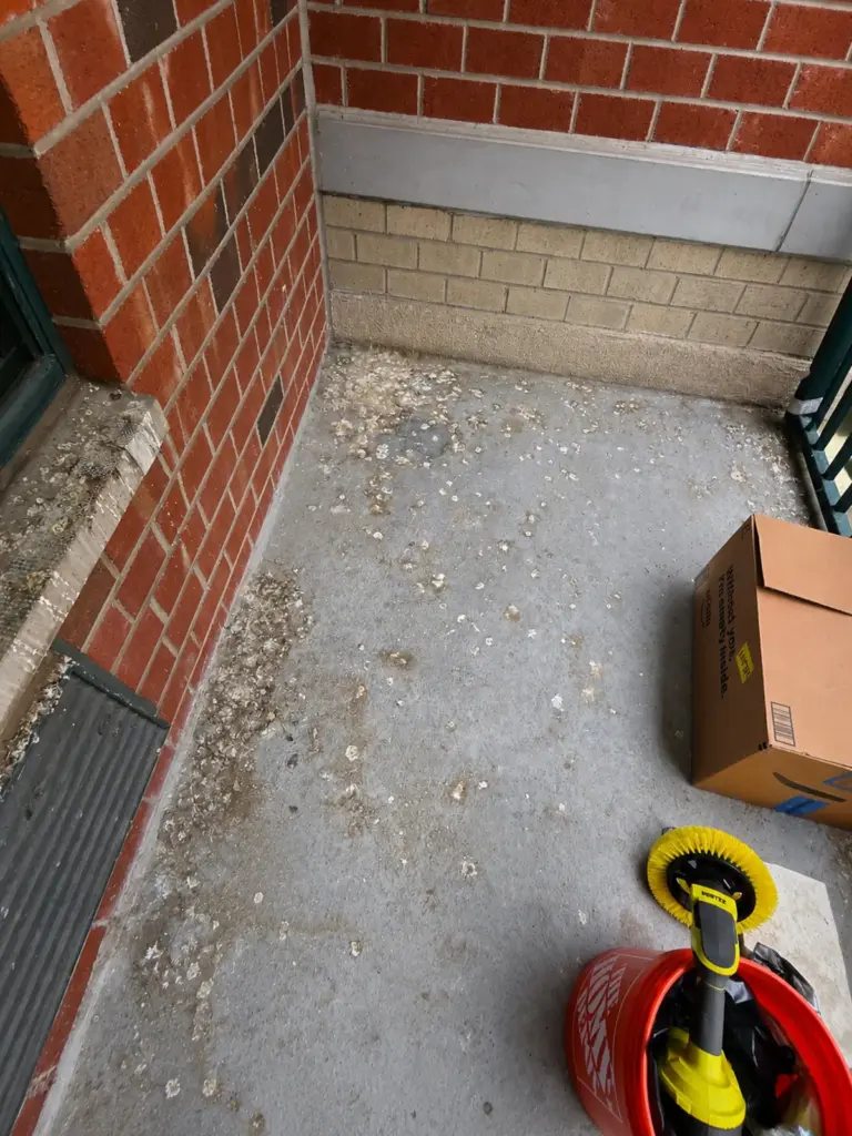 Bird droppings on a NYC balcony before cleanup by Bird Control NYC