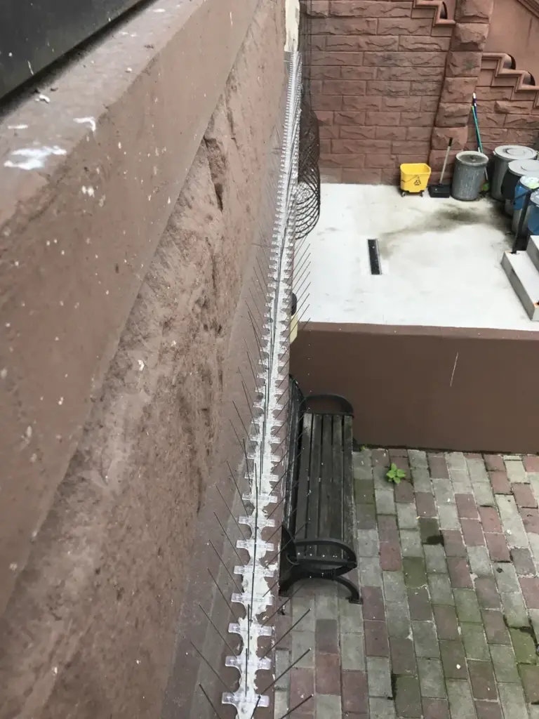 Bird spikes installed on a Manhattan building ledge for pigeon deterrent service