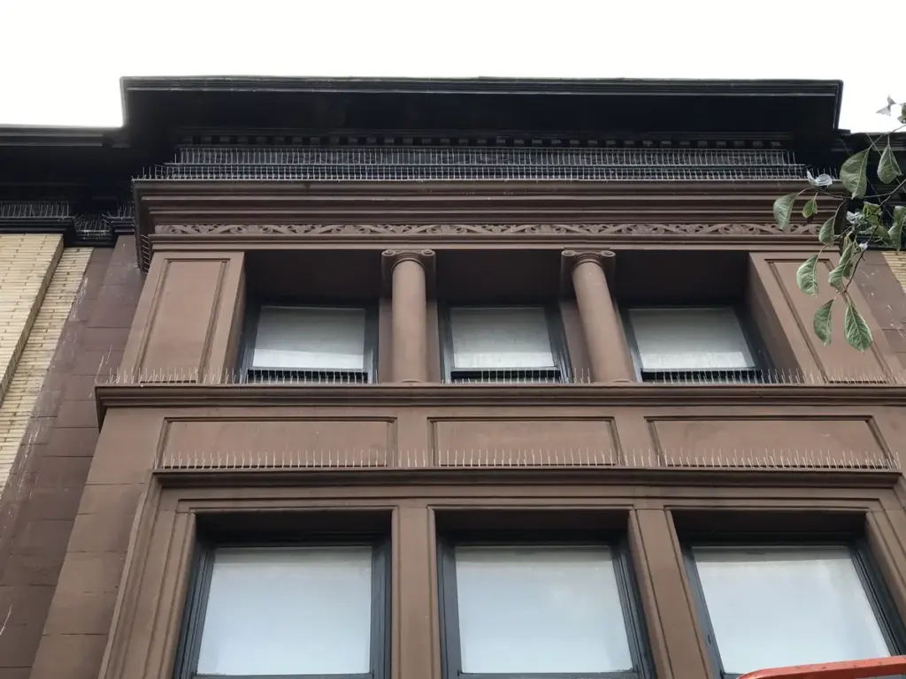 Bird spikes installed on a brownstone ledge in Morningside Heights NYC