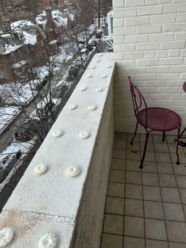 Optical bird gel installed along a terrace parapet ledge for humane bird control in NYC