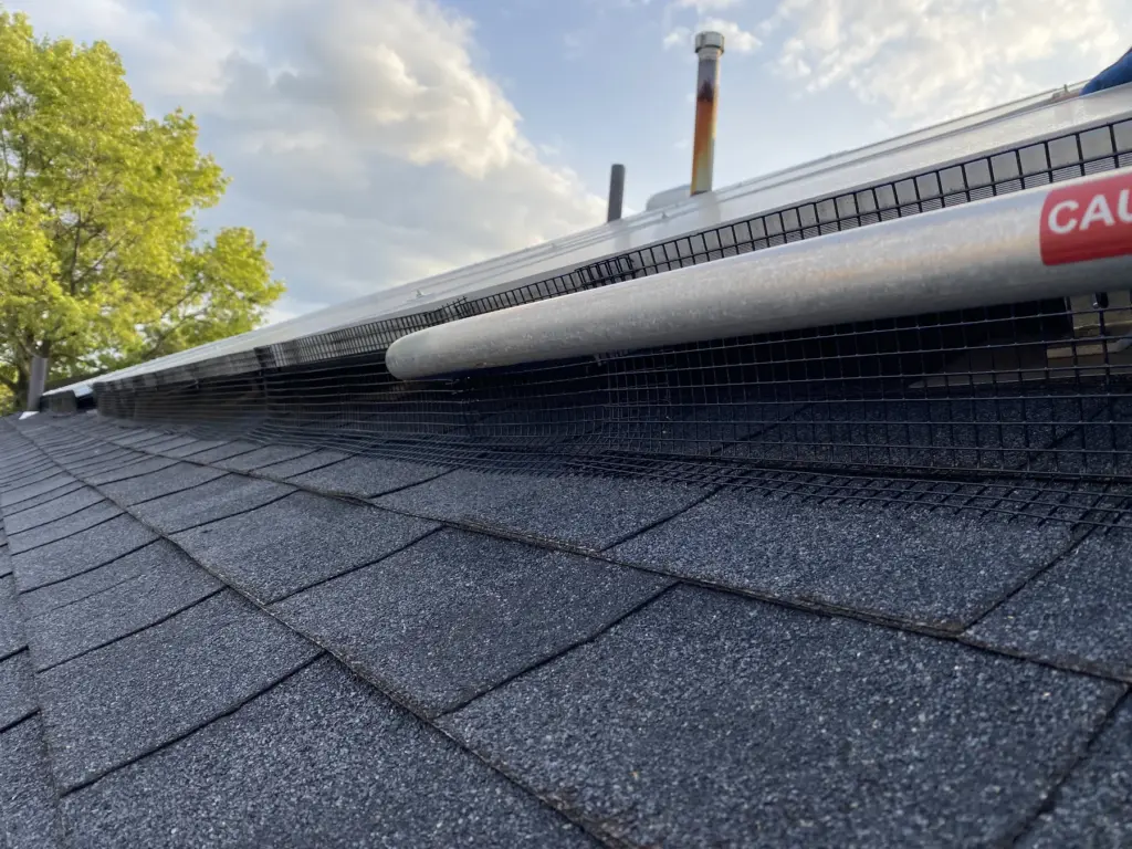 Finished solar panel bird proofing with critter guard mesh on a NYC roof
