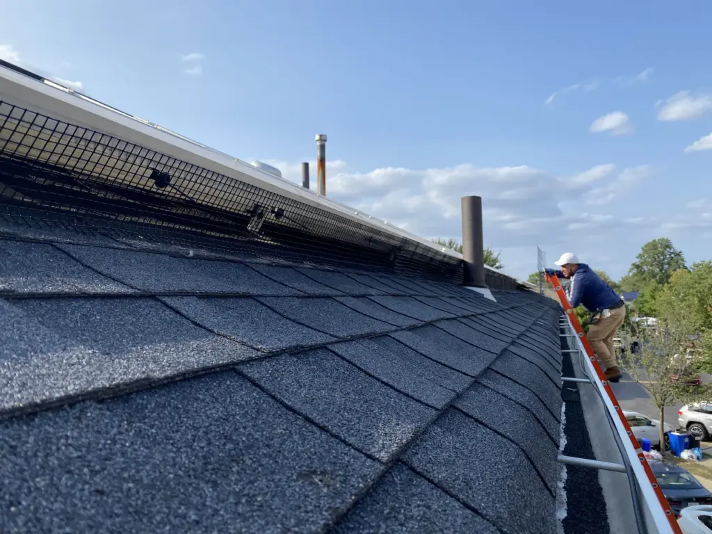Rooftop solar panel bird proofing installation with critter guard mesh in NYC